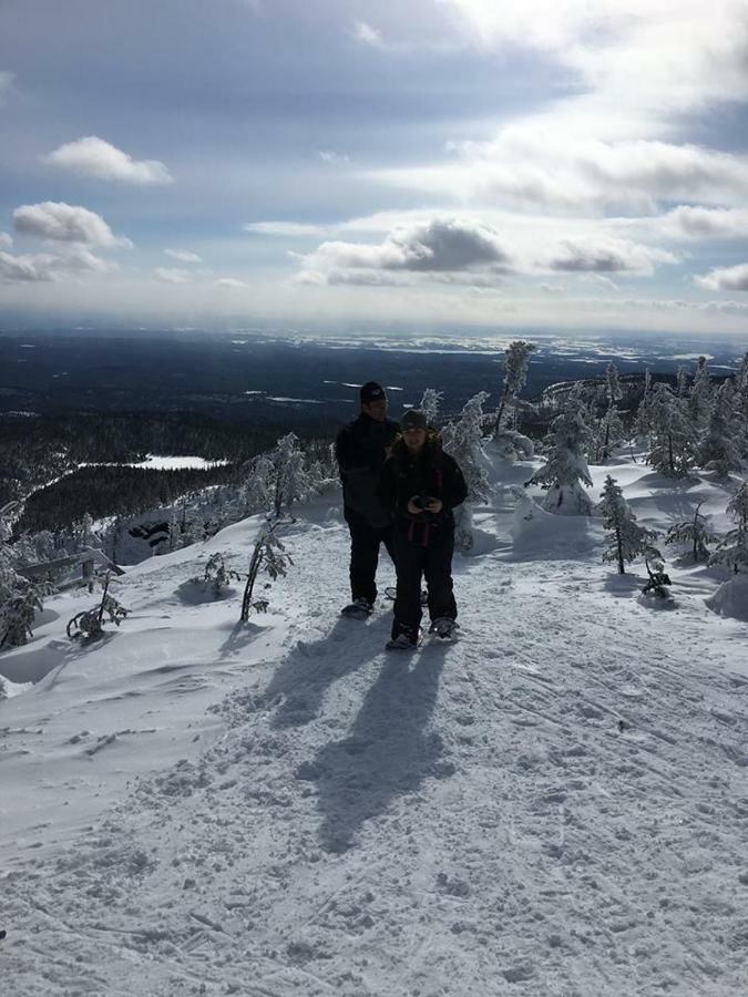 Au Pied Des Monts-Valin, Hebergement Touristique Saint-Honoré Kültér fotó
